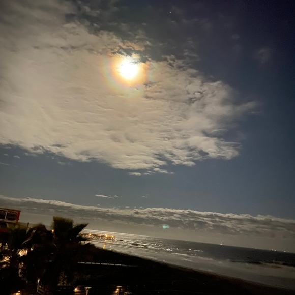 Meet your Posher, Martha - Picture 1 of 1